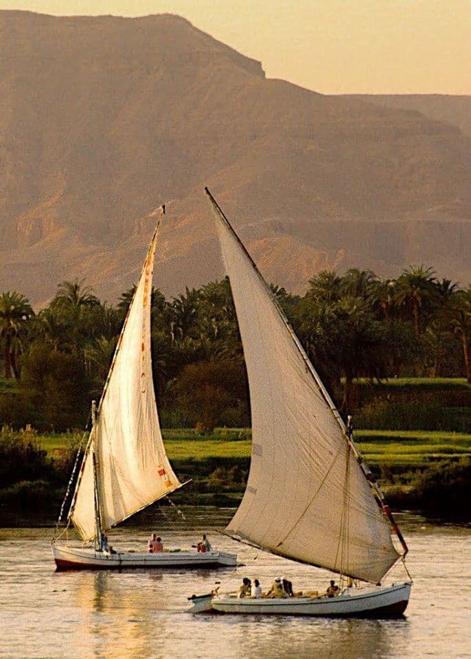 Day Tour To Luxor From Hurghada - image 5